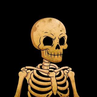 Ancient Skull